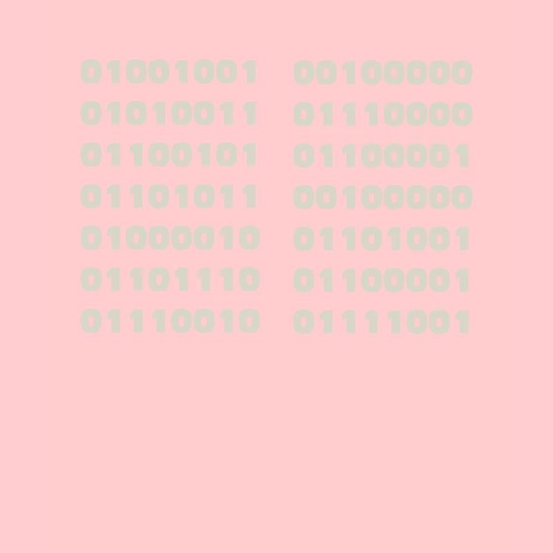 Ich Spreche Binär Code Lustiges Informatiker Coder