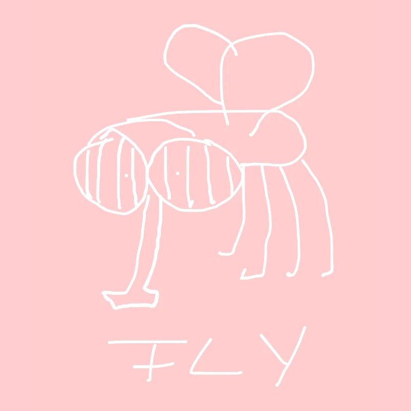 Fly