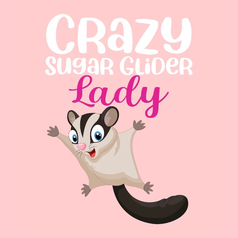 Sugar Glider Flughörnchen