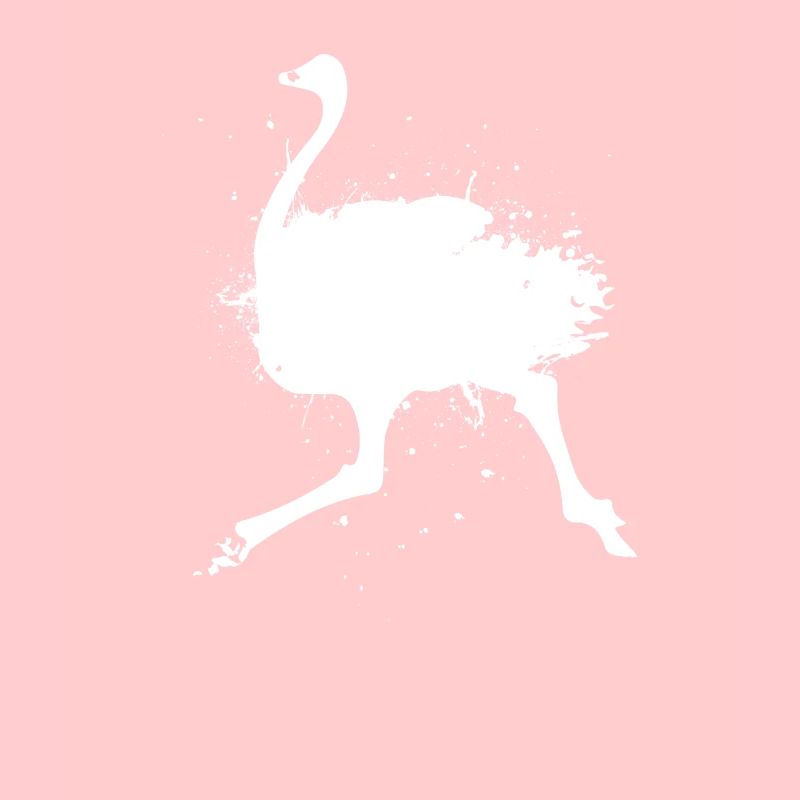 Vogel Strauß Laufvogel