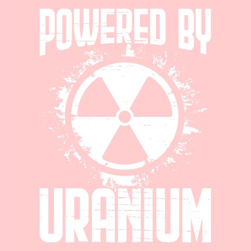 Nuclear Power Plant Nuclear Engineer