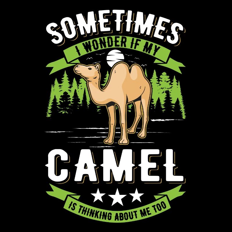 Kamel Geschenk Dromedar Camel Großkamel