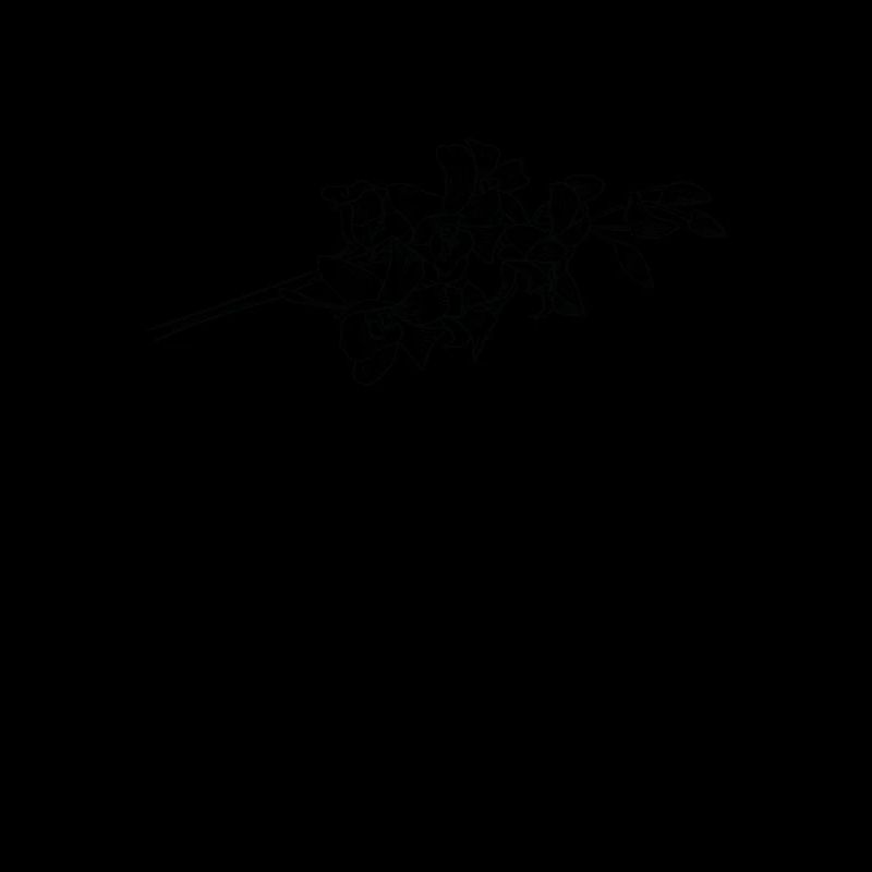 Orchidee Blüte Blume Duft