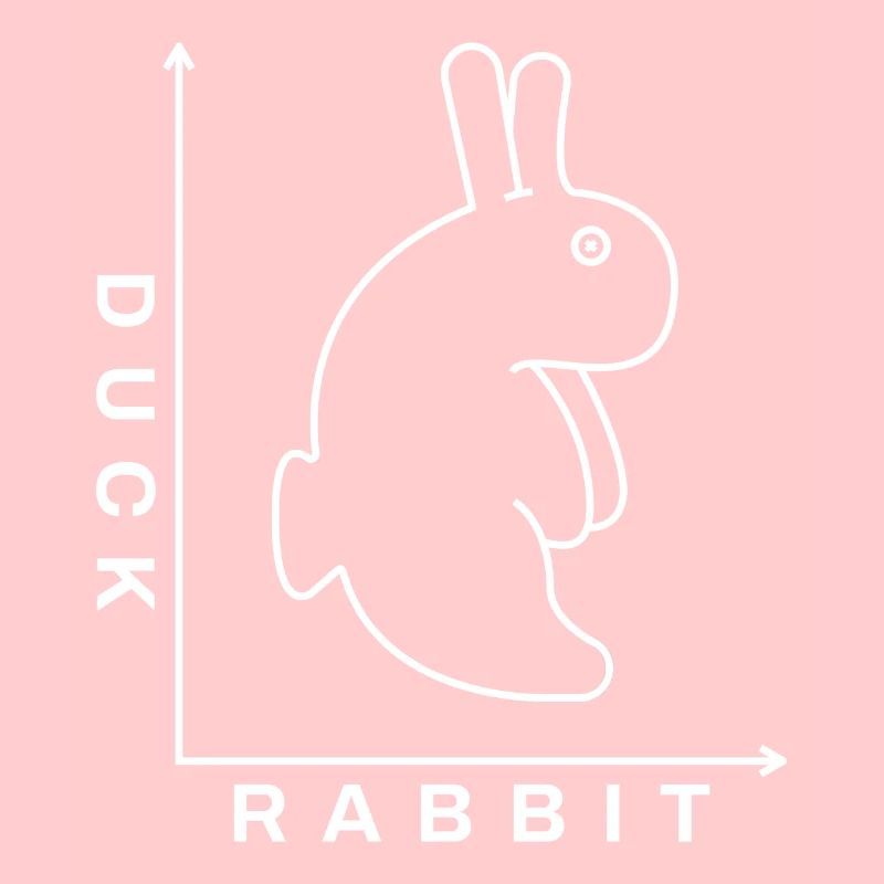 Rabbit Duck Illusion