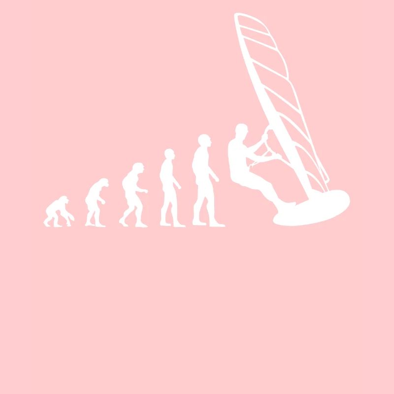 Evolution Windsurfer - From Monkey to Board