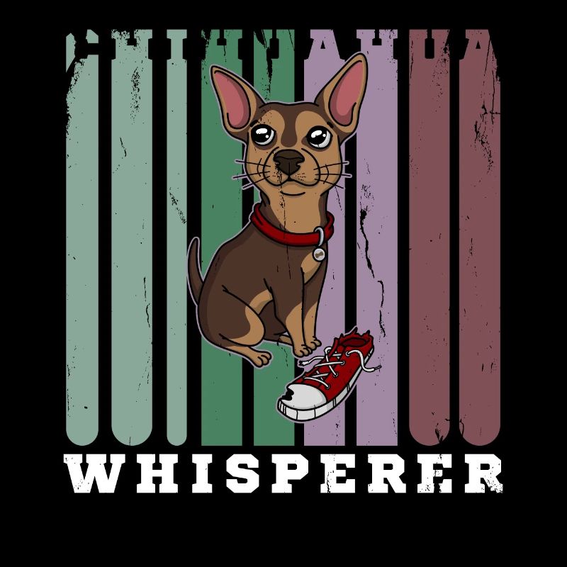 Flüsterer Chihuahua Hund