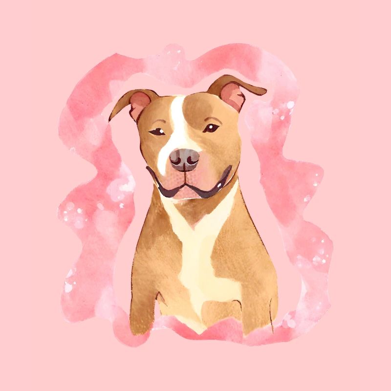 Aquarelle de Pitbull