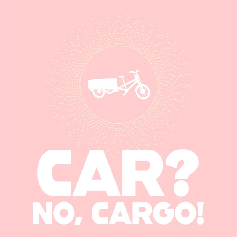 Voiture Pas De Cargaison Vélo Cargobike