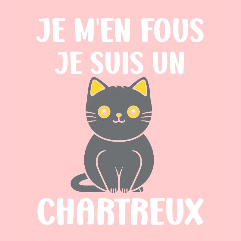 Humour chat chartreux