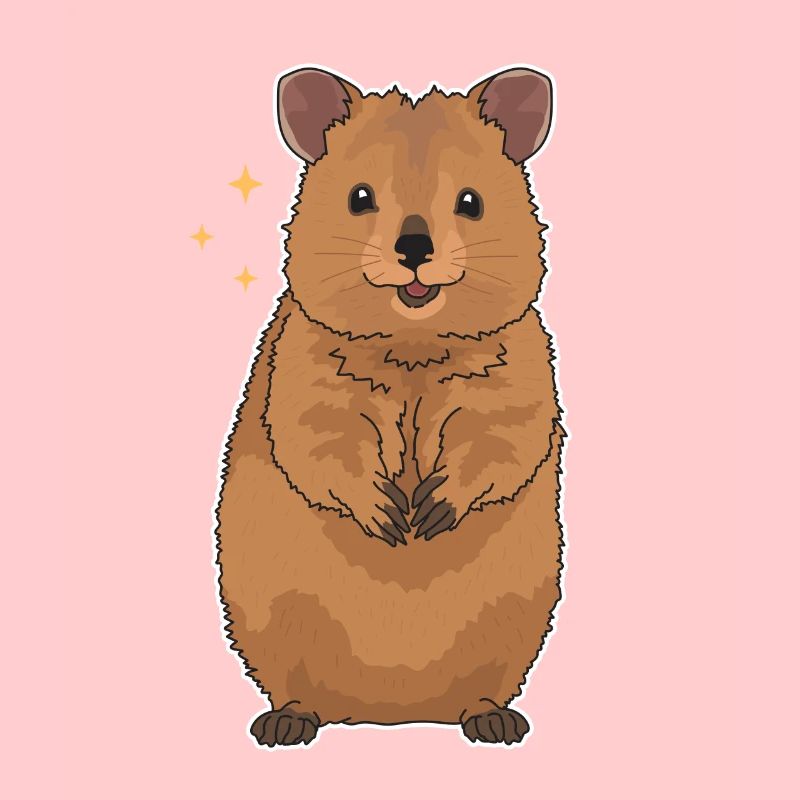 Kangourou à queue courte Quokka : le cadeau de Quokka
