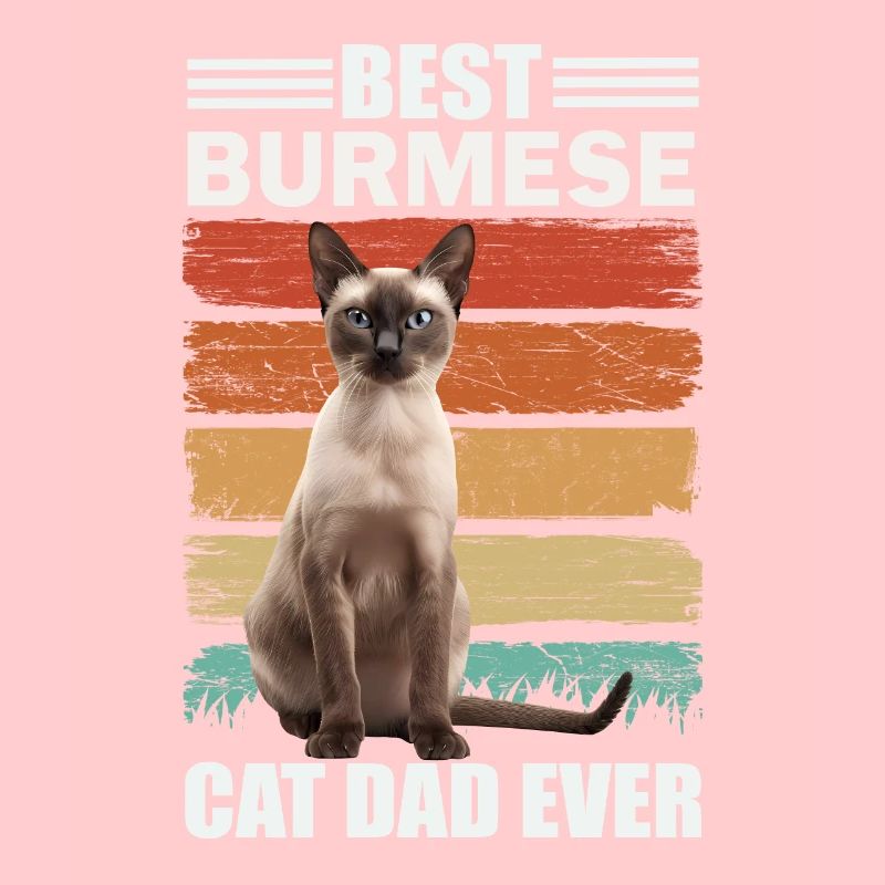Birman papa chat