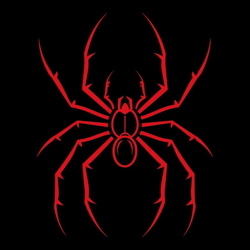 Spinne