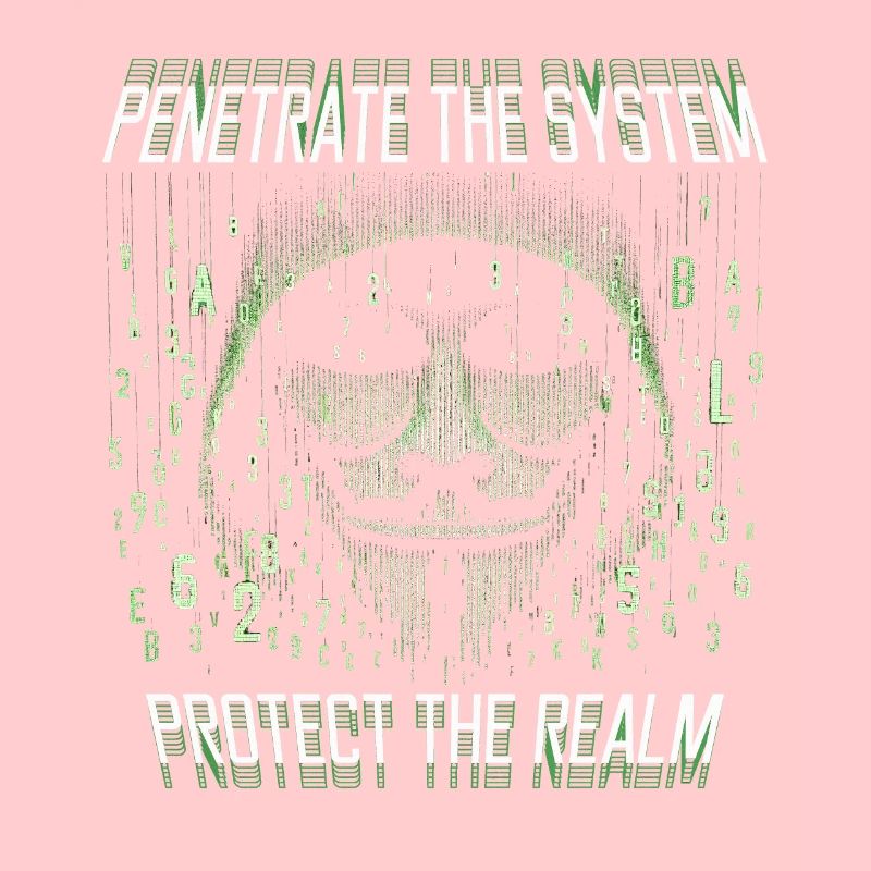 Penetrationstester Penetrate the system