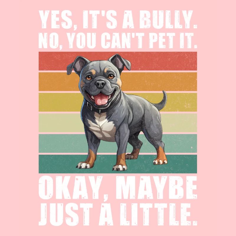 Cadeaux American Bully