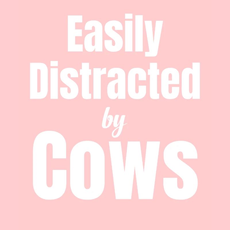 Easily distracted by cows, ranchers