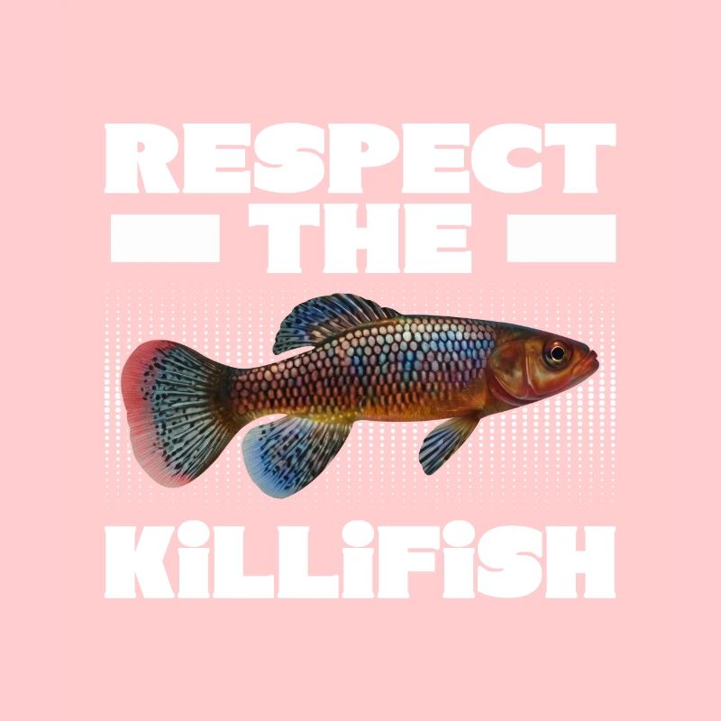 Killifish Quarium Fish