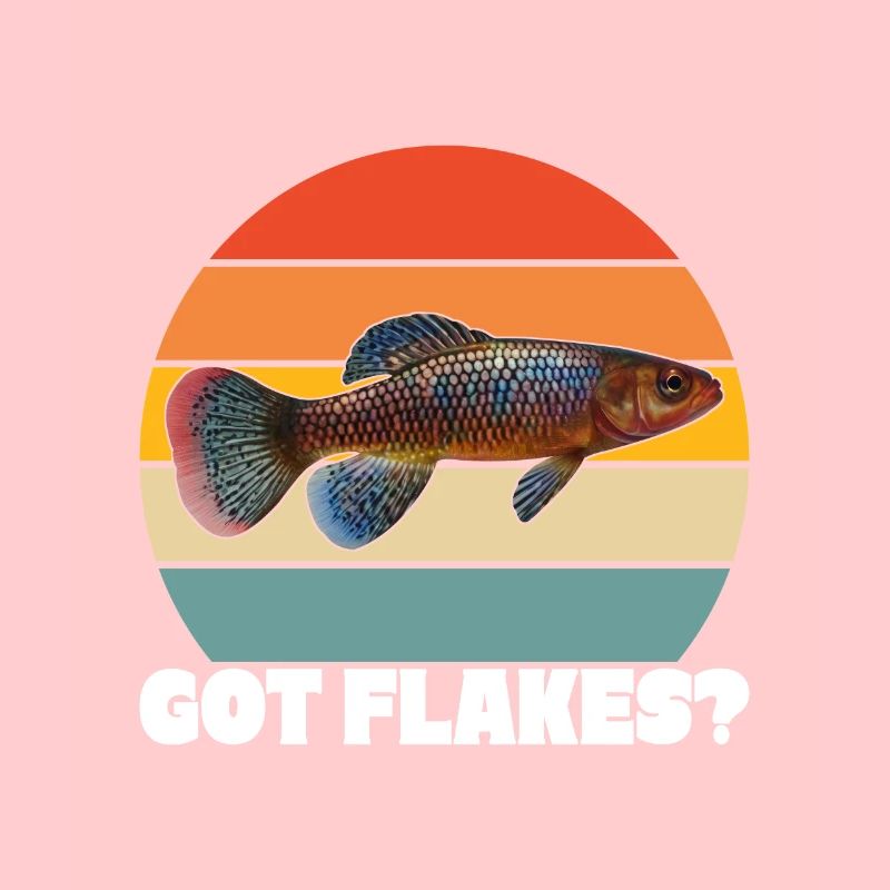Killifish Quarium Fish