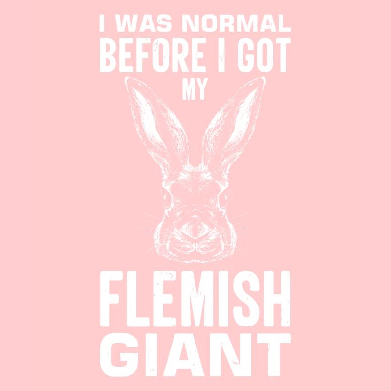 Lapin géant flamand Lapin Lapin