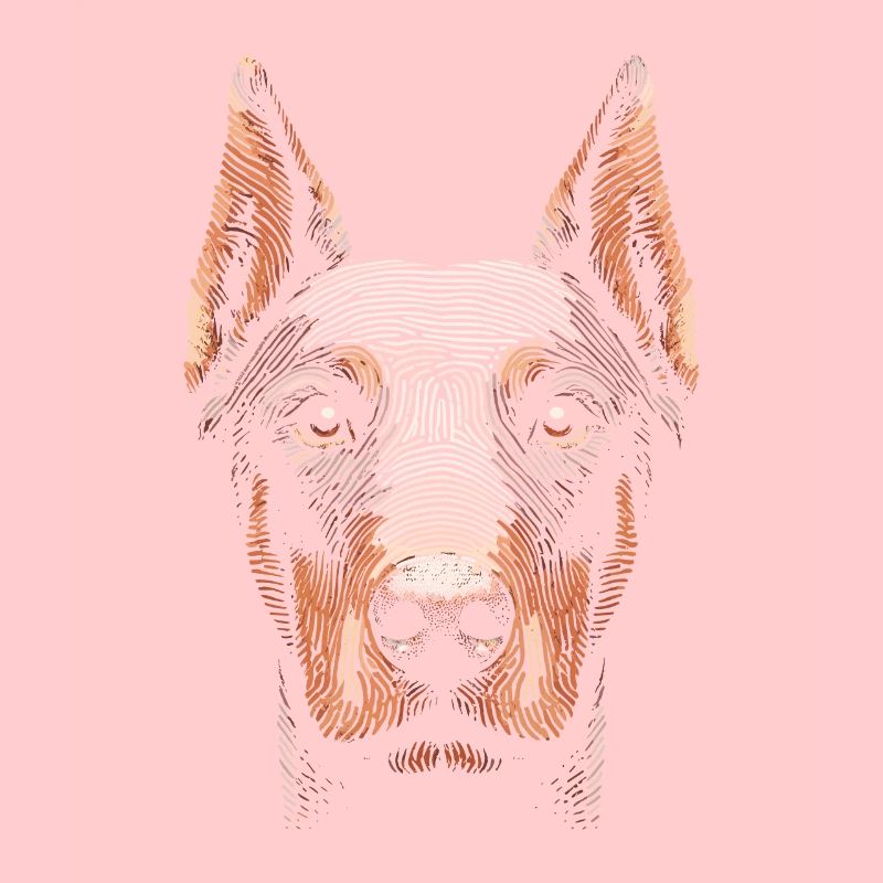 Empreinte digitale du doberman