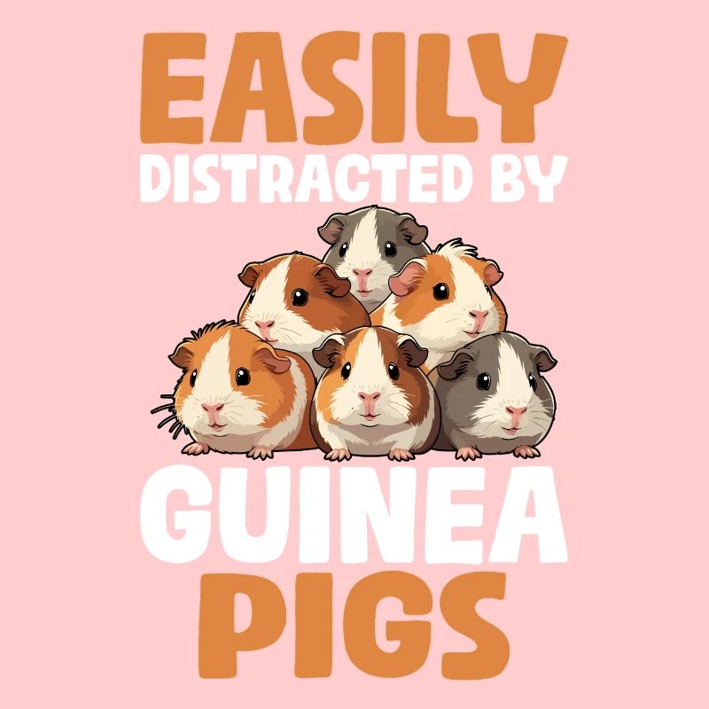 Facilement distrait par les cochons d’Inde Drôle de cavité