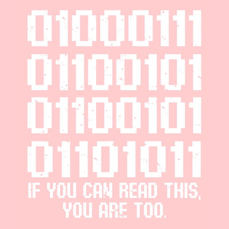 IT Geek, Accessoires PC Périphériques de stockage Evolution