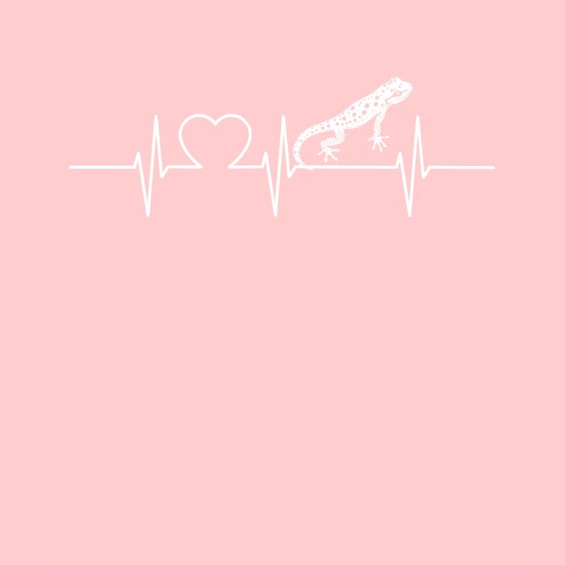 Salamanders Salamander