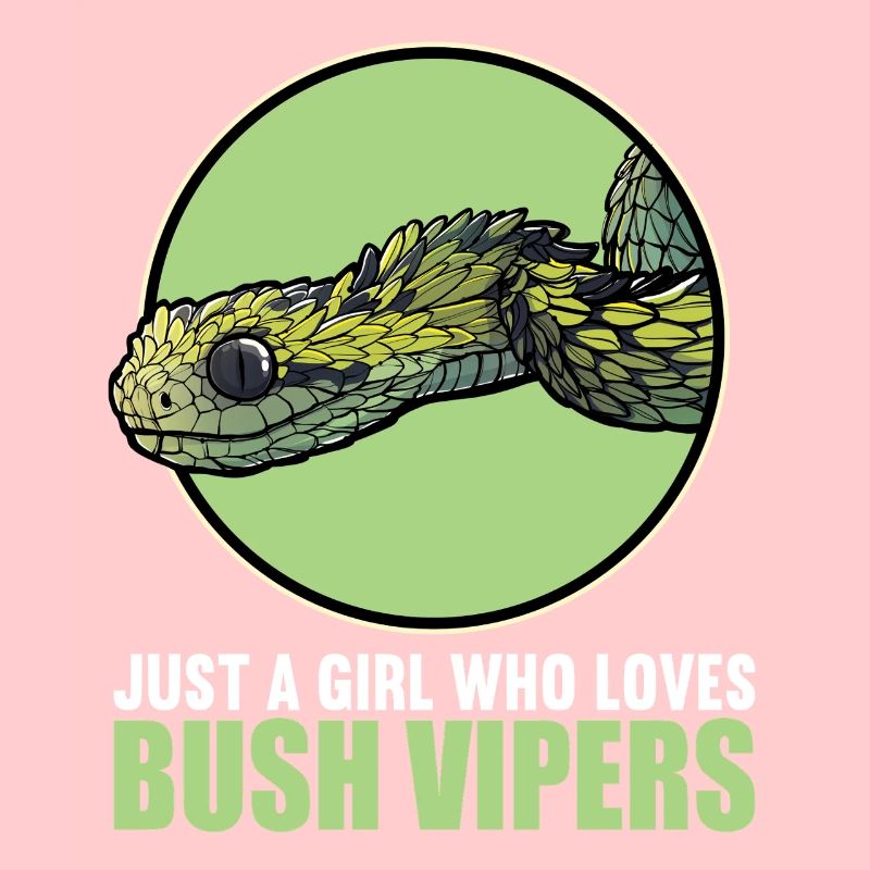 Vipères de brousse Vipère de brousse