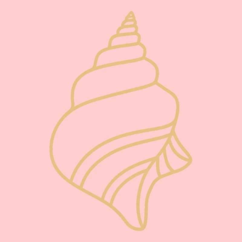 shell