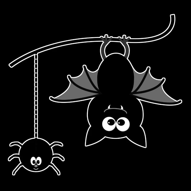 Fledermaus und Spinne