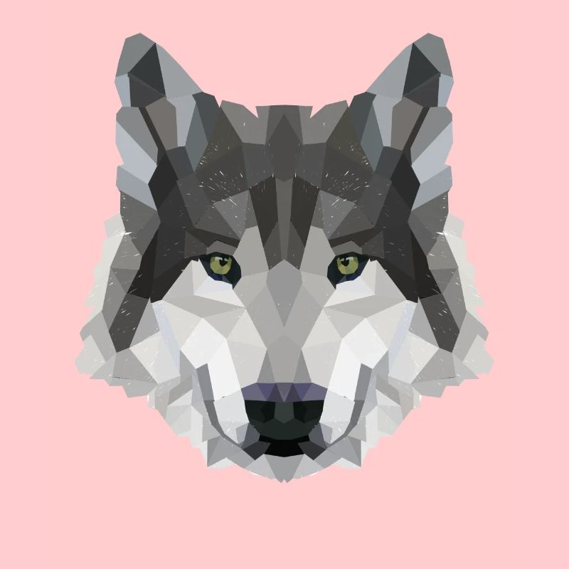 POLYGON WOLF WOLVES HUSKY PACK DOG PACK PACK