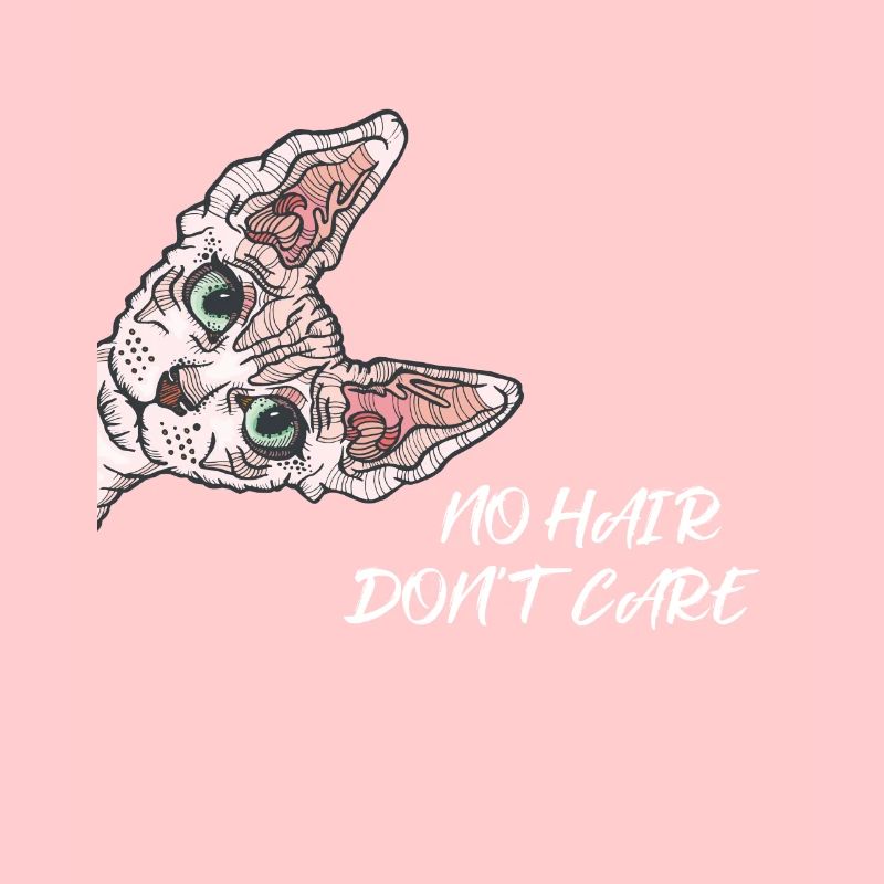 Sphynx cat