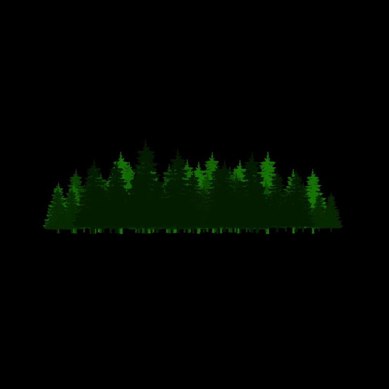 Forest Forest Trees Tree Fir Nature Flora