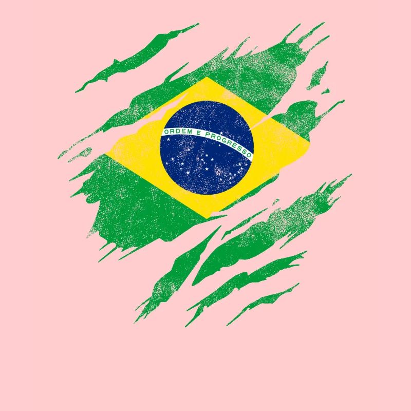 Drapeau du Brésil