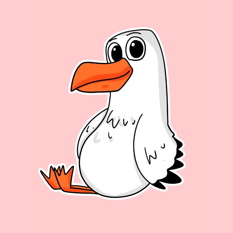 Möwe