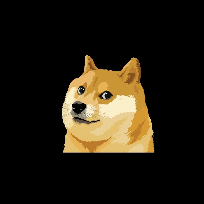 Concern Doge Meme Recherche Style Much Wow