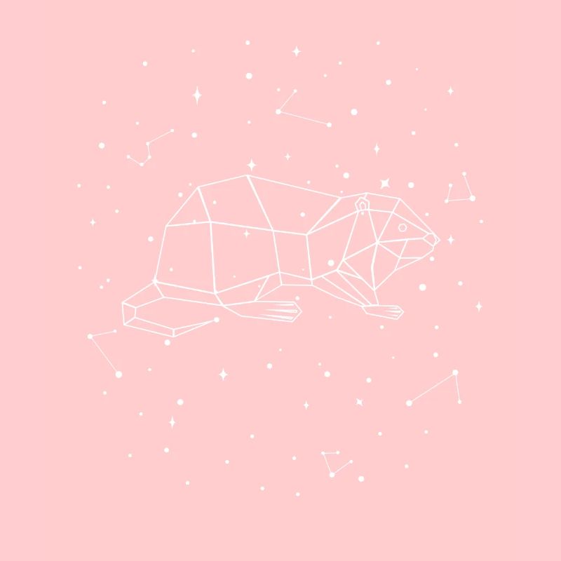 Sternbild Nutria Constellation Coypu Myocastor