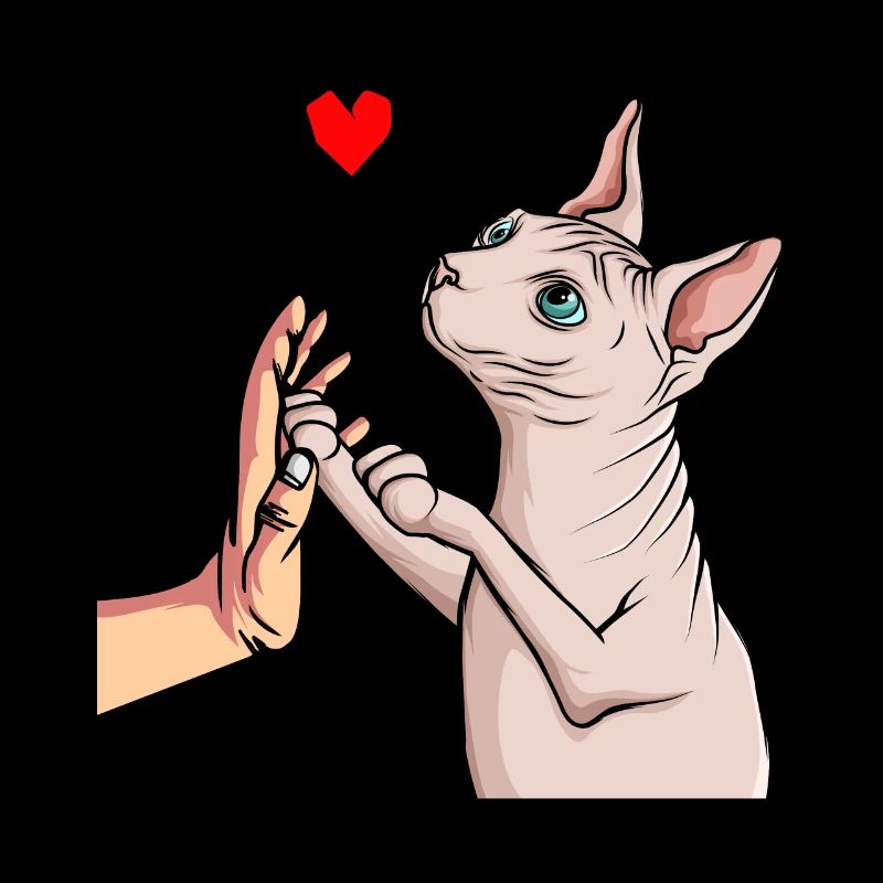 Sphynx Katze Sphinx Nacktkatze