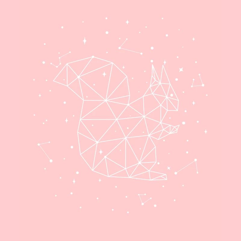 Sternbild Squirrel Constellation Eastern Gray Fox