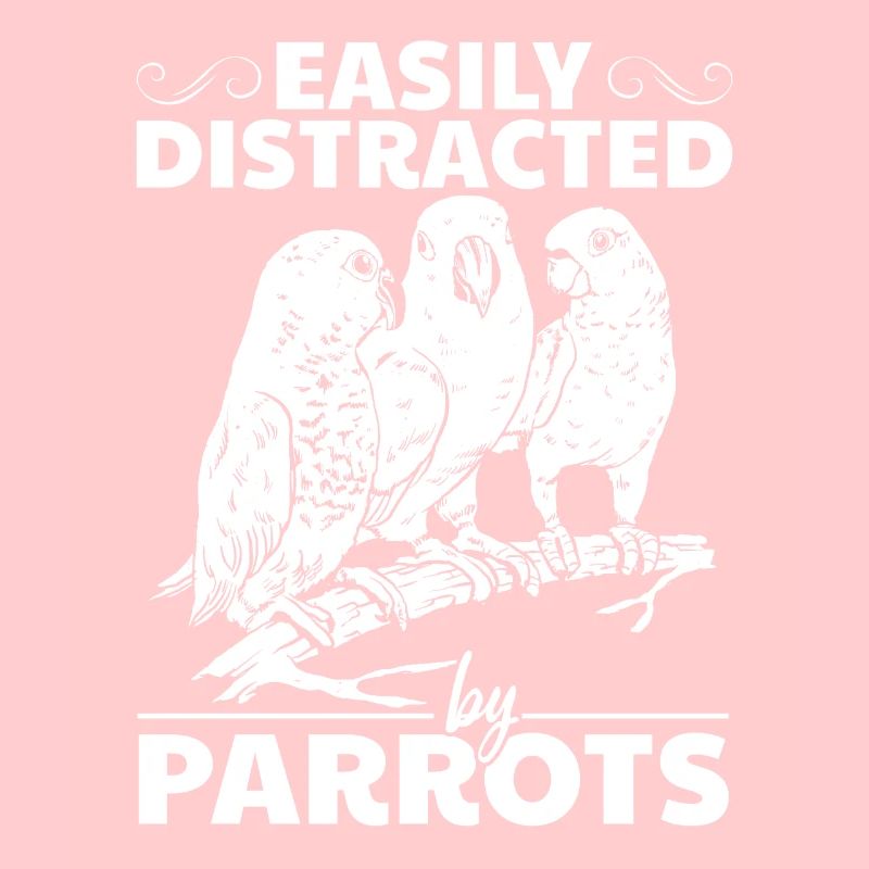 Parrot bird lovers easily from parrots