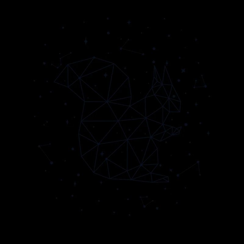 Constellation Squirrel Constellation Squirrel