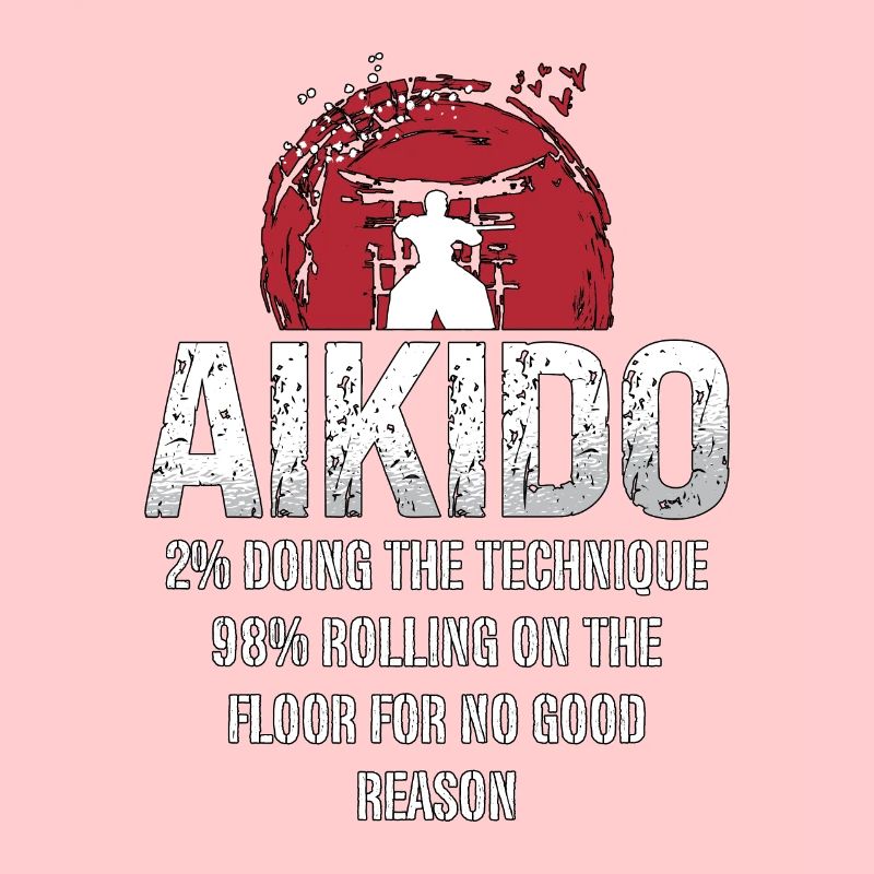Aikido 2% Doing The Technique 98% Samurai Fighter
