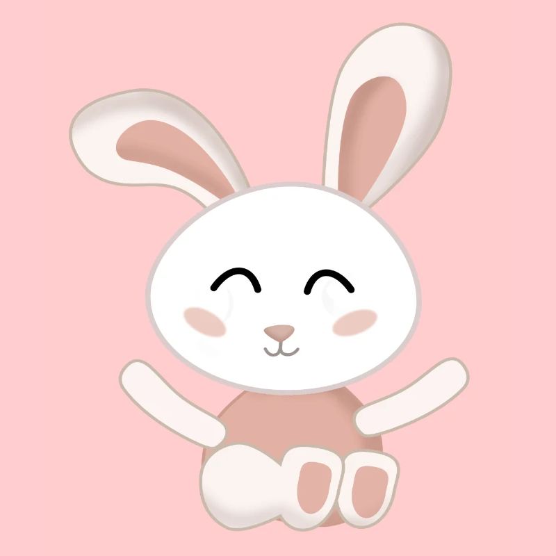 Rabbit White cute pink