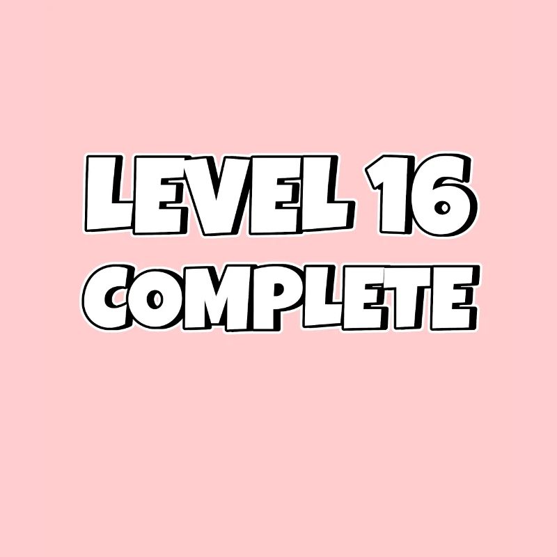 Level 16 Complete Geburtstagsgeschenk 16 Jahre