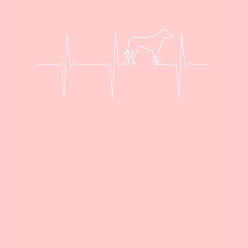 Rhodesian Ridgeback EKG Herzschlag