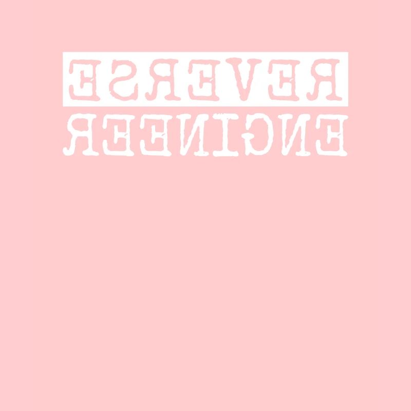 Reverse Engineer Softwareingenieur Developer