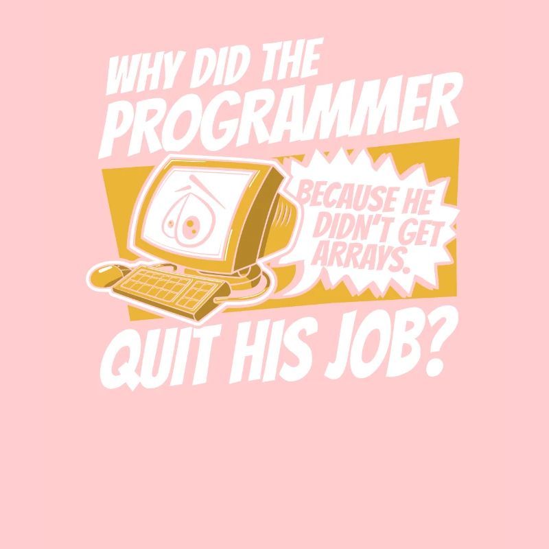 Why Did Programmer Quit Job Developer Coder