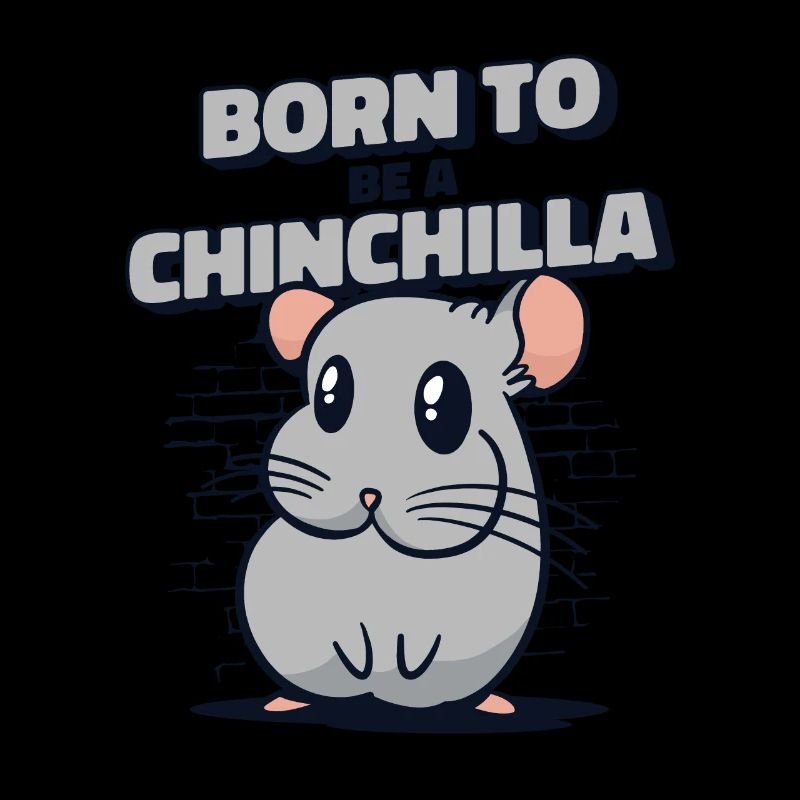 Né pour être un chinchilla à queue courte longue queue