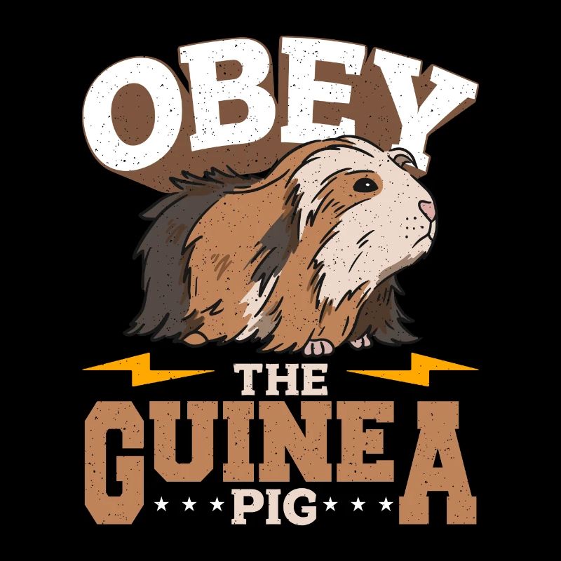 Cochon d’Inde Obéir à l’amoureux des animaux du cochon d’Inde Cavy