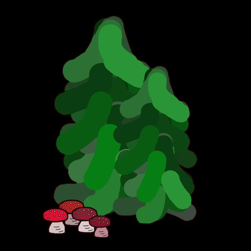 October Autumn Forest Fir Trees Toadstools Mushrooms