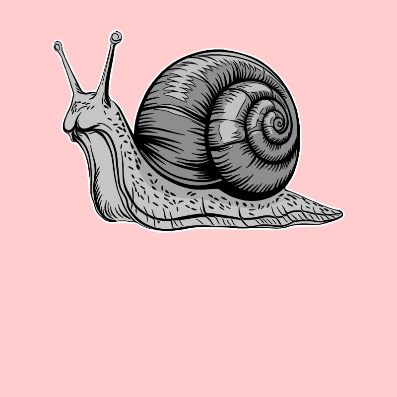 Illustration graphique d’animal escargot gris